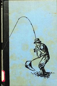 Imagem da capa do livro
