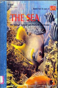Imagem da capa do livro
