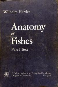 Imagem da capa do livro
