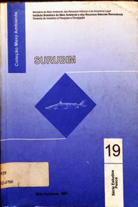 Imagem da capa do livro