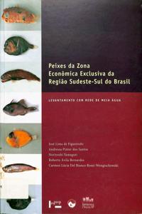 Imagem da capa do livro
