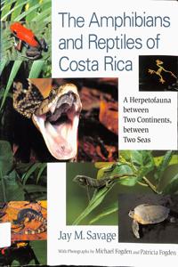 Imagem da capa do livro