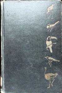 Imagem da capa do livro