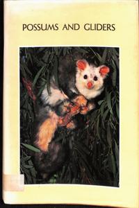 Imagem da capa do livro