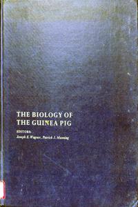 Imagem da capa do livro