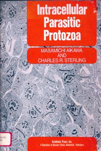 Imagem da capa do livro