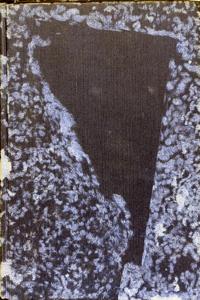 Imagem da capa do livro