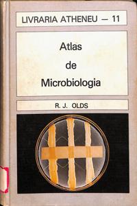 Imagem da capa do livro