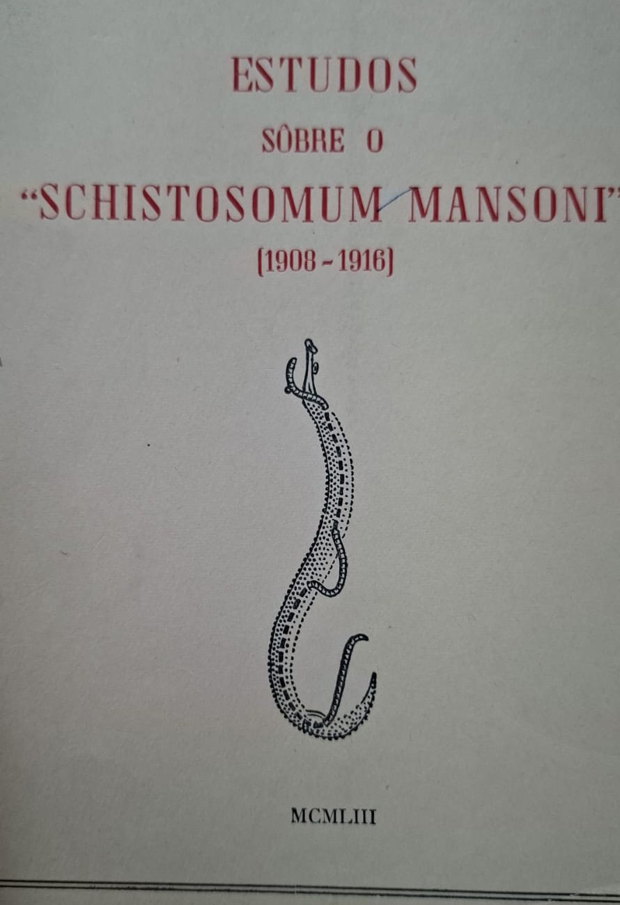 Imagem da capa do livro