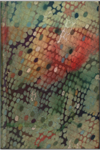 Imagem da capa do livro