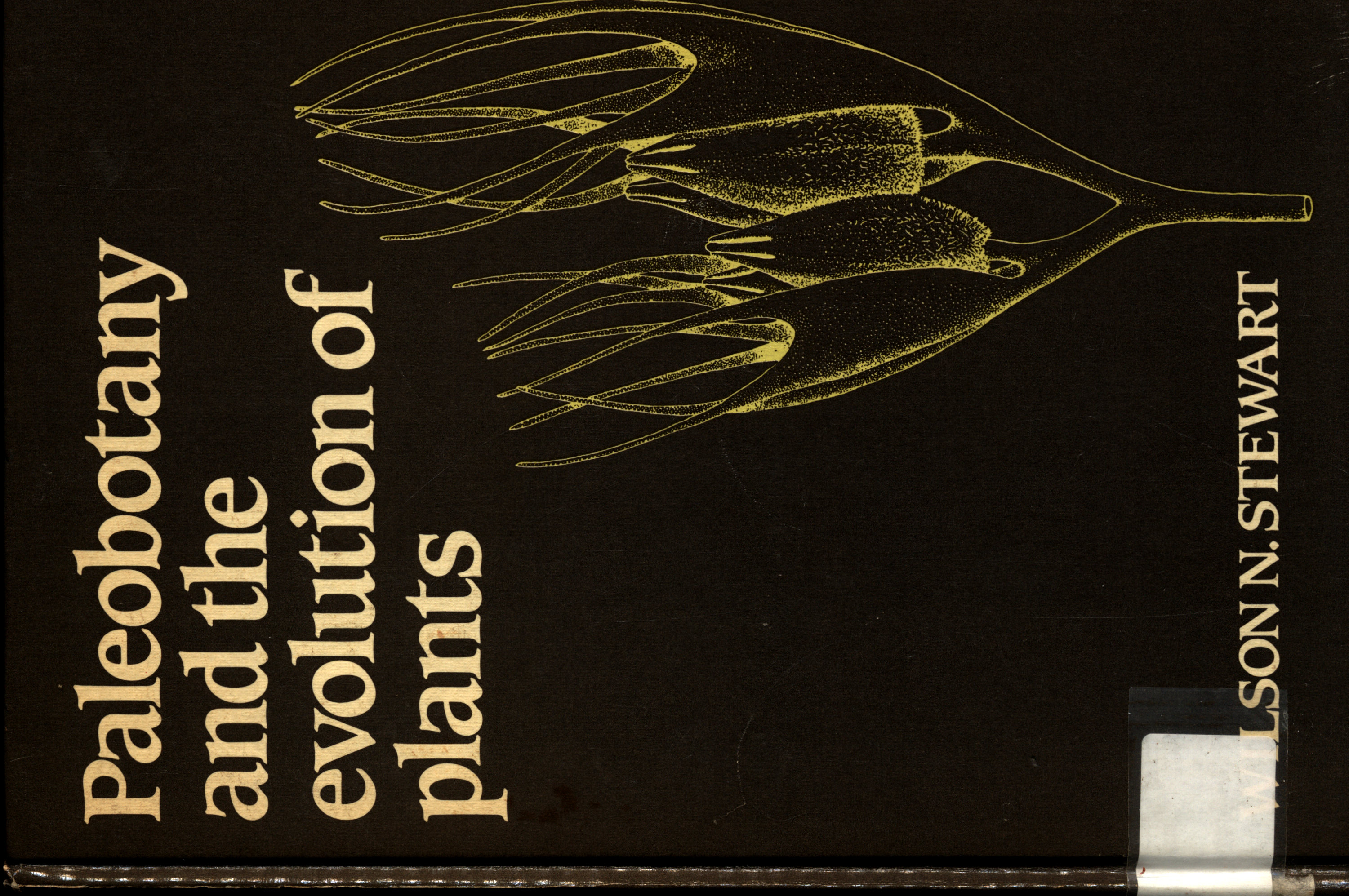 Imagem da capa do livro