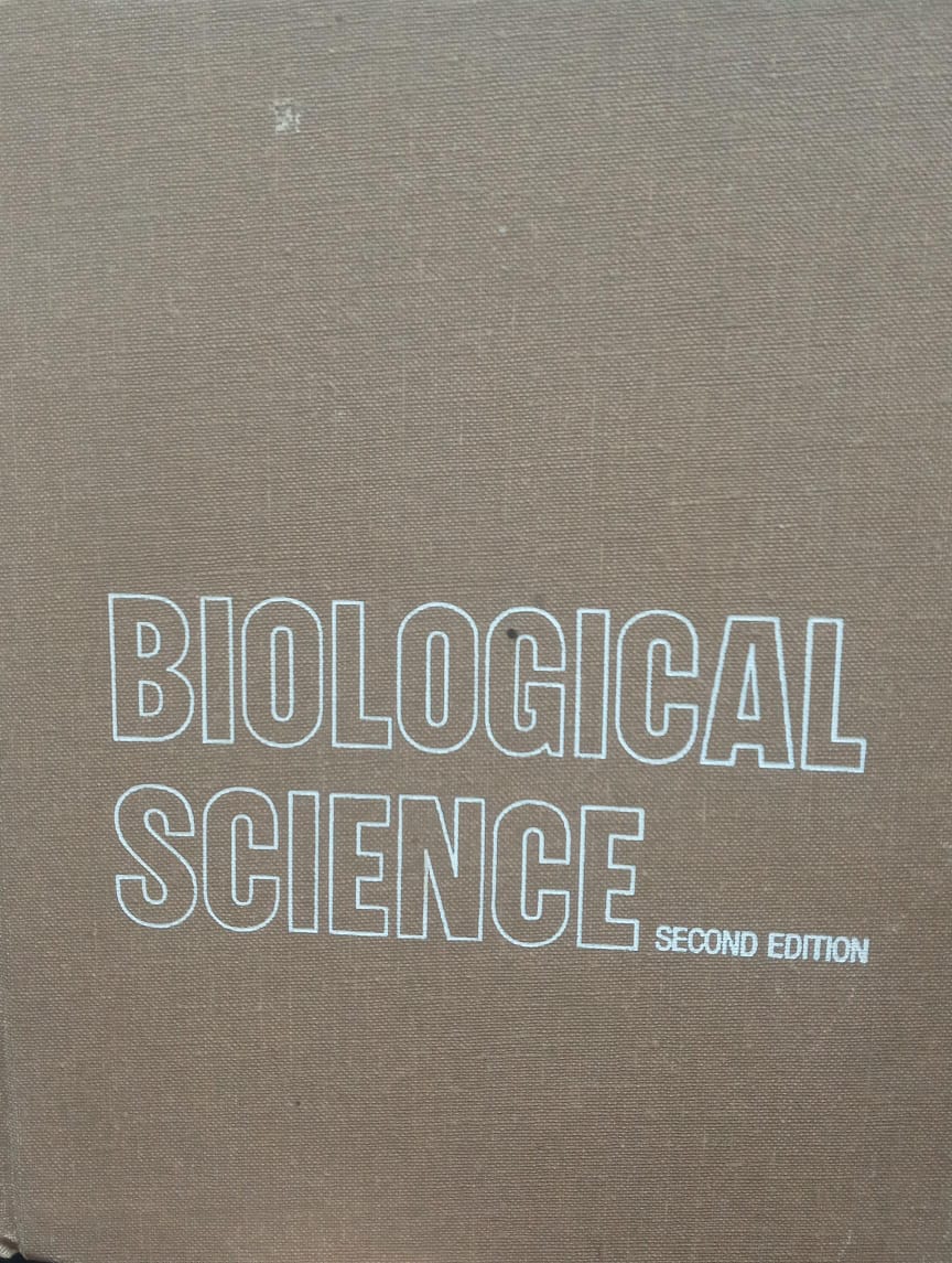 Imagem da capa do livro