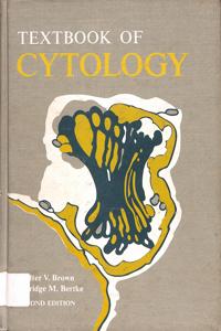 Imagem da capa do livro