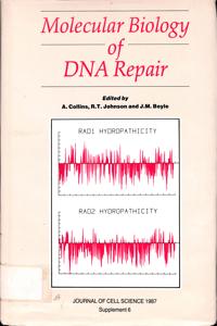Imagem da capa do livro