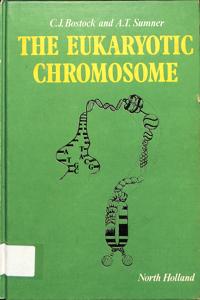Imagem da capa do livro