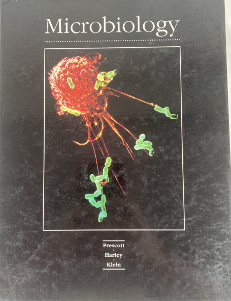 Imagem da capa do livro