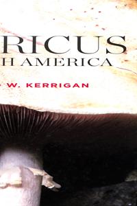 Imagem da capa do livro