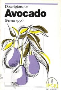 Imagem da capa do livro