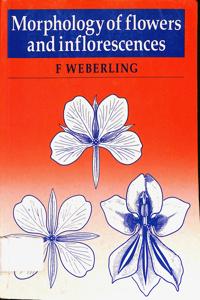 Imagem da capa do livro