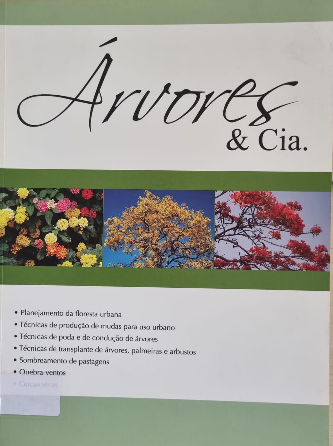 Imagem da capa do livro