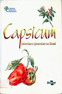Imagem da capa do livro