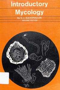 Imagem da capa do livro