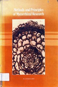 Imagem da capa do livro