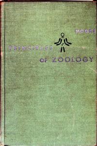 Imagem da capa do livro