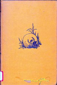 Imagem da capa do livro
