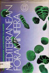 Imagem da capa do livro