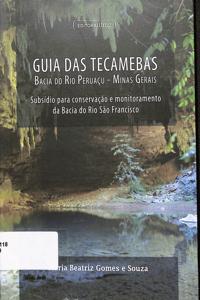 Imagem da capa do livro