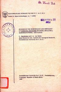 Imagem da capa do livro