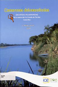 Imagem da capa do livro