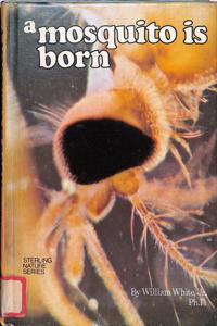 Imagem da capa do livro