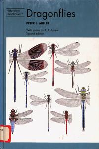 Imagem da capa do livro