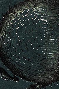 Imagem da capa do livro