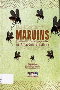 Imagem da capa do livro