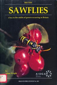 Imagem da capa do livro