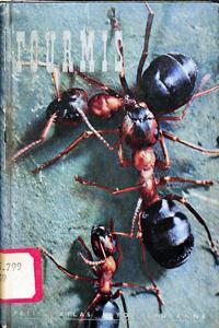 Imagem da capa do livro