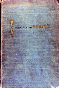 Imagem da capa do livro